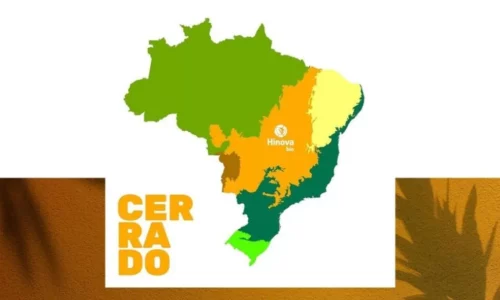 Capa_blog_Bio_Cerrado-1024x576-1024x585